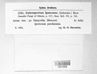 Image Associated With the Occurence
